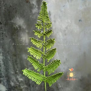 Patrón de crochet de hoja de helecho en PDF, Plantas verdes de crochet, Patrón de crochet de Pteridophyllum racemosum, Amigurumi floral digital de crochet