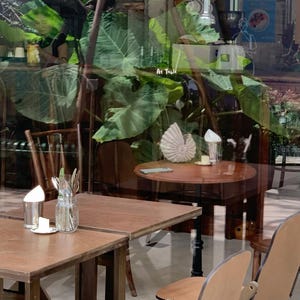 May include: A cafe interior with wooden tables and chairs. A round table has a decorative shell and a small plate. The text "At Table" is visible on the glass. Large green leaves are reflected in the glass.