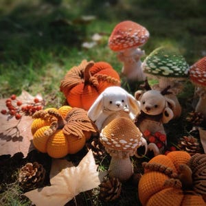 Puede incluir: Una colecci&oacute;n de art&iacute;culos de ganchillo hechos a mano, que incluyen calabazas, setas, un conejito blanco y un osito de peluche. Las calabazas son naranjas y amarillas, y las setas tienen sombreros rojos y verdes. La escena est&aacute; ambientada sobre un lecho de hojas y hierba.