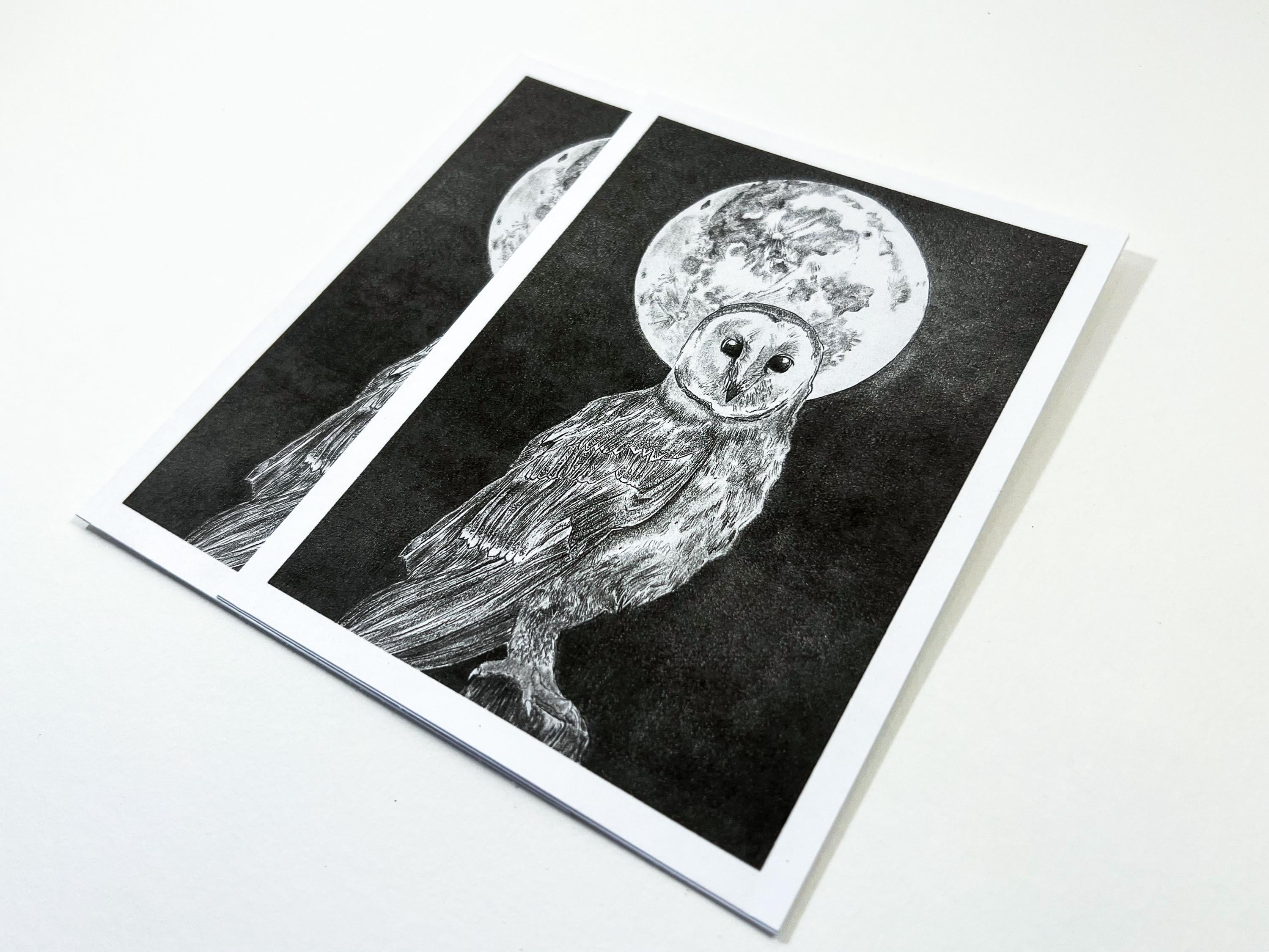 Night Owl [Graphite Print]