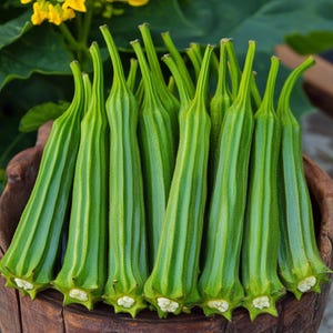 Okra Clemson Spineless Seeds Abelmoschus Esculentus Okra Sierplant Zaadjes Clemson Okra Samen Graines De Gombo Okra Spineless Edible