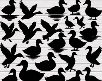 Enten-Svg-Bundle, Enten-Png-Bundle, Enten-Clipart, Enten-Silhouette, süße Enten-Svg, Baby-Enten-Svg, Enten-Svg-Schnittdateien für Cricut, Entenvektoren