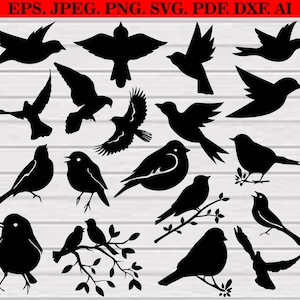 Pigeon Svg Bundle, Pigeon Clipart, Dove Svg Bundle, Pigeon Svg Silhouette, Pigeon Svg Cut Files for Cricut, Dove Silhouette, Dove Svg,Png