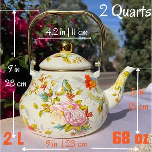 Pu&ograve; includere: Teiera color crema con un design floreale e di uccelli. La teiera &egrave; alta 23 cm e larga 23 cm, con un diametro di 11 cm. Contiene 2 litri (68 oz). Il manico e il pomello del coperchio sono dorati.