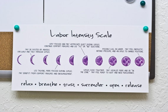 Laminated Labor Intensity Scale Pain Scale Cover Up For Etsy