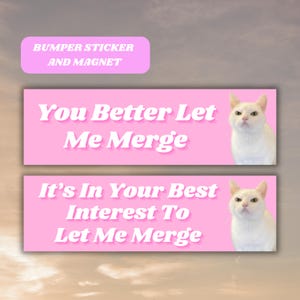 You Better Let Me Merge Funny Bumper Sticker Magnet, Angry Cat Kitty Meme Tiktok Genz Car Vinyl Sticker, Pink Car Accessory, New Driver Gift