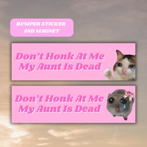 Don&#39;t Honk At Me My Aunt Is Dead Funny Bumper Sticker Magnet, Sad Cat Hamster Meme Tiktok Genz Unhinged Car Sticker Cute Pink Car Accessory