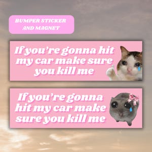 Hit My Car Make Sure You Kill Me Funny Bumper Sticker Magnet, Sad Cat Hamster Meme Tiktok Gen Z Unhinged Pink Car Accessory, New Driver Gift