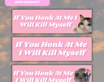 If You Honk At Me I Will Kill Myself Bumper Sticker Magnet, Funny Meme kms unhinged Vinyl Sticker, New learner nervous driver, gift for her