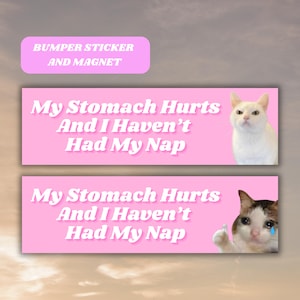My Stomach Hurts Funny Cat Bumper Sticker Magnet,Sad Angry Kitty Meme Tiktok Genz Cute Car Vinyl Sticker, Pink Car Accessory New Driver Gift