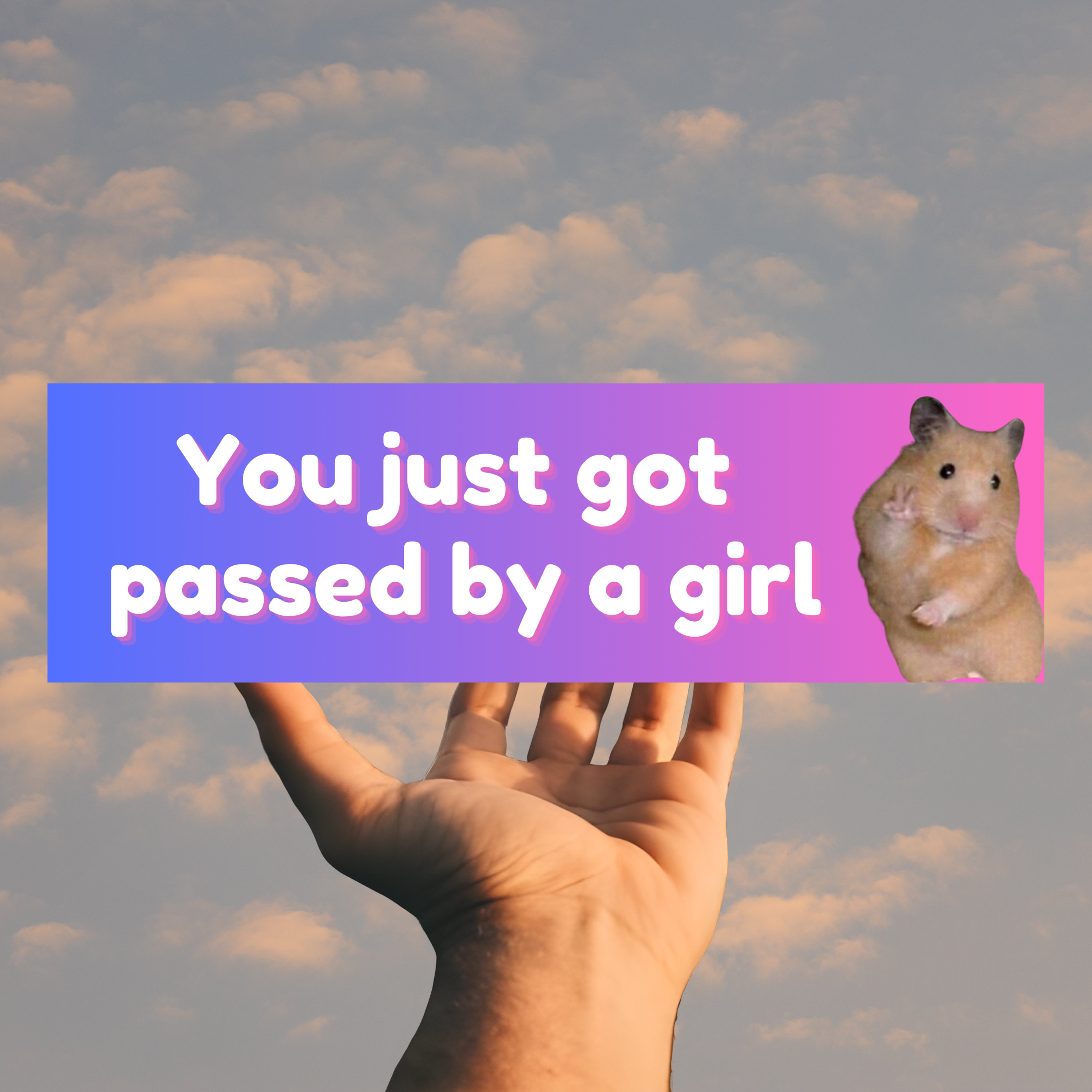 Je bent net gepasseerd door een meisjesauto Bumpersticker | Vredesteken  Hamster Meme Tiktok Gen Z Automagneet voor nieuwe bestuurders | Leuk cadeau  voor haar - Etsy België, image size:3000x3000