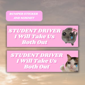 Op de afbeelding: Twee roze bumper stickers met witte tekst die "STUDENT DRIVER I Will Take Us Both Out" zegt. De bovenste sticker heeft een cartoon hamster met een roze strik en de onderste sticker heeft een cartoon kat met een duim omhoog.