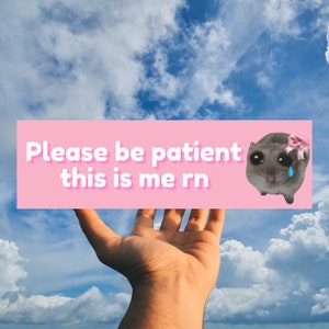 Funny Sad Hamster Meme Bumper Sticker - Please Be Patient This Is Me RN - High Quality Car Bumper Vinyl Magnet |Humorous Animal Sticker Gift