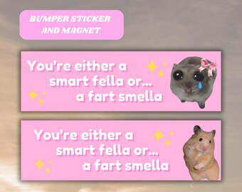 Trauriger Hamster Meme Lustiger Autoaufkleber Magnet, Genz Auto Vinyl Aufkleber Mädchen Sicher Langsam Bad neuer Fahrer Geschenk für sie niedliches rosa Accessoire Gag Geschenk