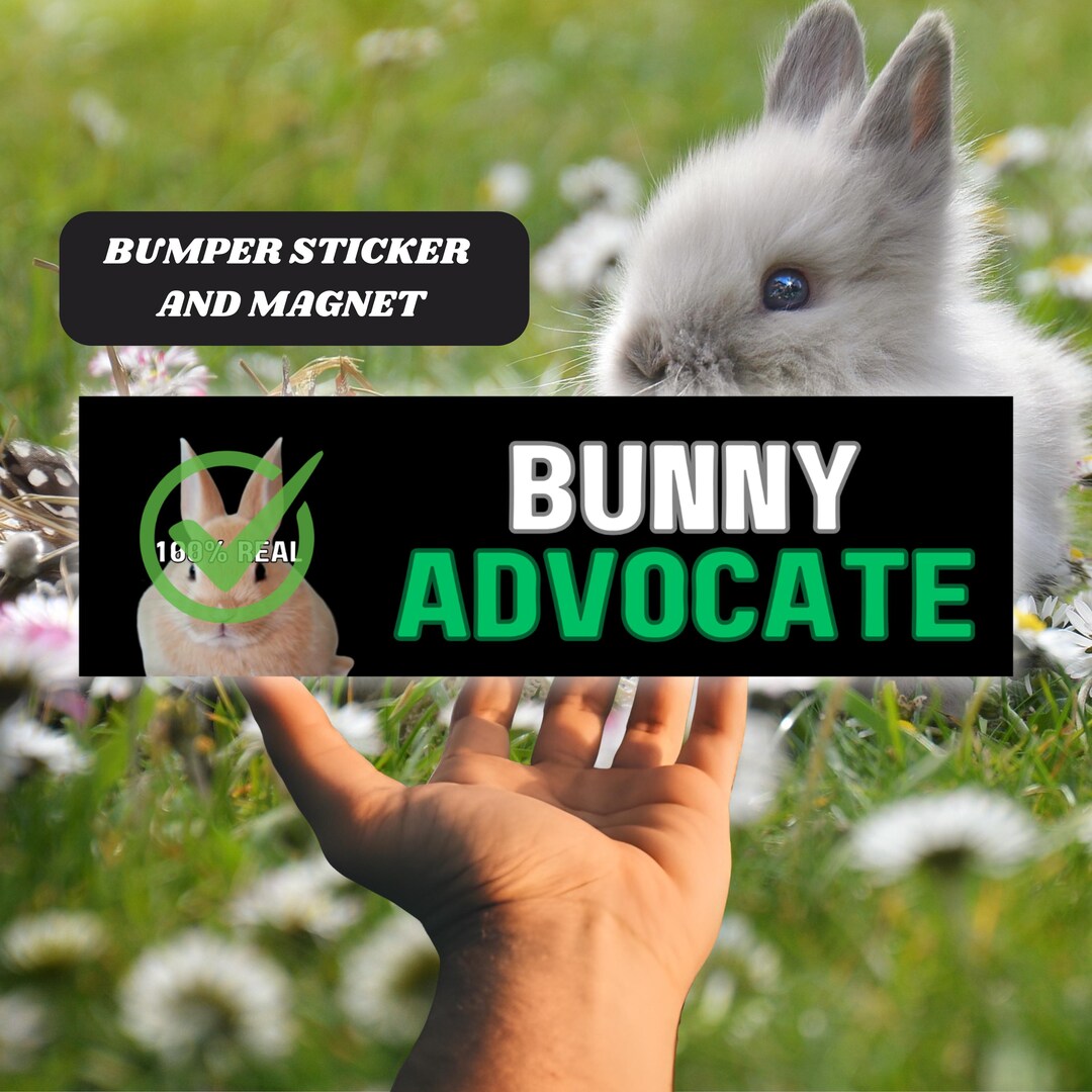 Funny Bunny Lover Magnetic Car Bumper Sticker