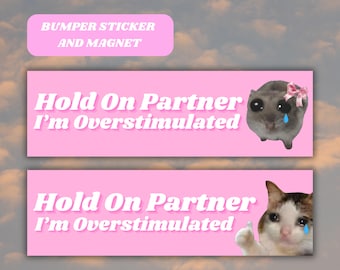 Funny Bumper Sticker Magnet, Hold on Partner I display picture 1