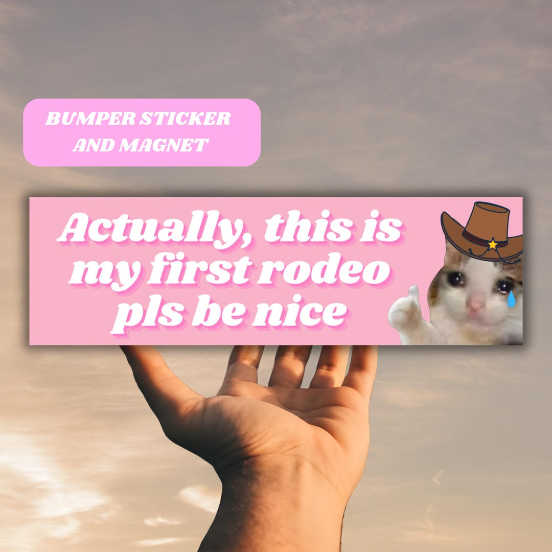 This is My First Rodeo Funny Cat Bumper Sticker or Magnet | Sad Kitty ...
