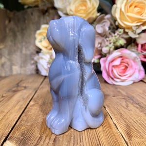 Splendido! Statuetta di cane in agata geode e drusa da 10 cm, scultura di cristallo intagliata a mano, decorazione per la casa, regali con cristalli curativi.