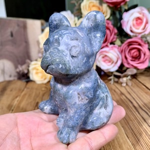 Raro! Statuetta di cane in drusa di geode di cristallo da 10 cm, scultura di bulldog in agata muschiata intagliata a mano, decorazione per la casa, regali di cristalli curativi.