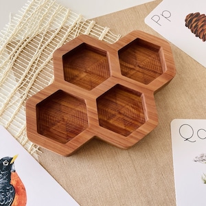 red cedar divided bee sensory bin