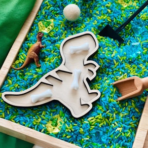 Dinosaur Sensory Rice Kit: Montessori Toys, Open Ended Play