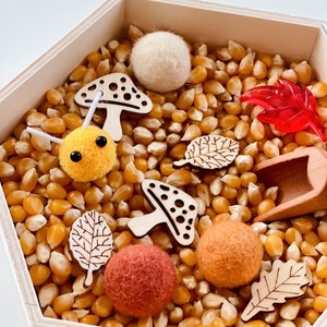 honey bee sensory kit loose parts play