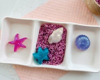 Resin Sea Shell Shapes: Montessori Sensory Bin Toy, Set of 4