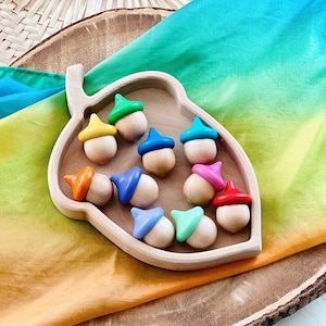 10 rainbow colored wooden acorns sitting in an acorn shaped Montessori sorting tray