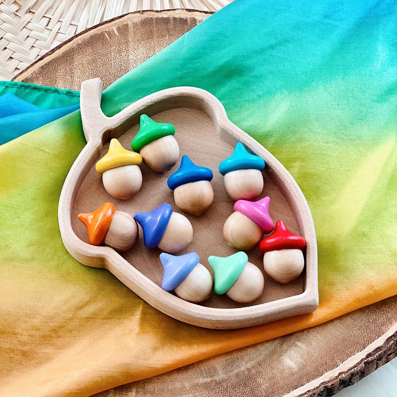 10 rainbow colored wooden acorns sitting in an acorn shaped Montessori sorting tray