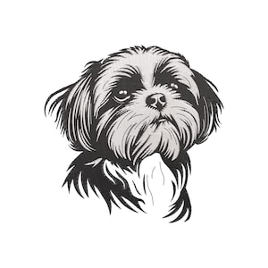 Op de afbeelding: Zwart-wit illustratie van de kop van een Shih Tzu-hond. De hond heeft lang, vloeiend haar rond zijn gezicht en nek, met een gedetailleerde weergave van zijn kenmerken. De afbeelding staat tegen een witte achtergrond.
