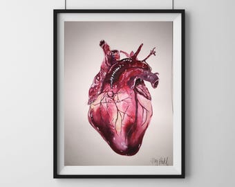Watercolor Human Heart Print – Anatomical Wall Art | Digital Download