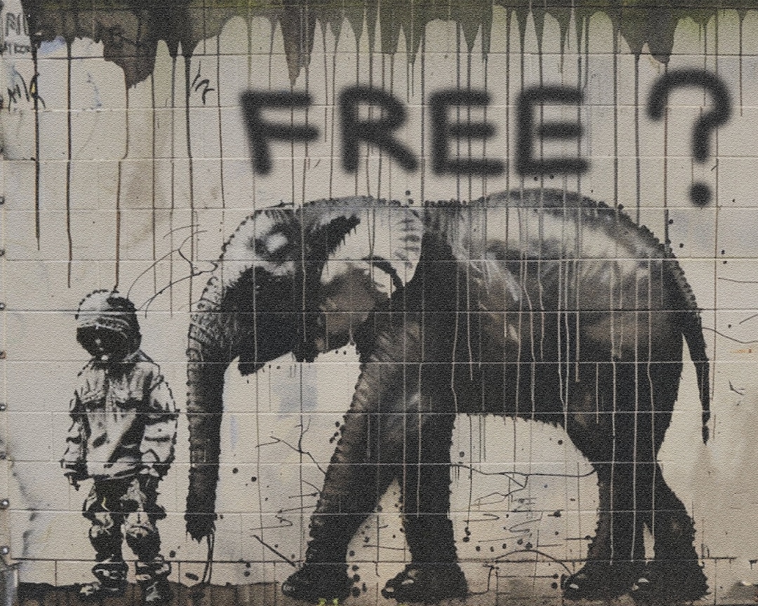 Banksy Street Graffiti Art Boy Frees Zoo Elephant Animal Rights ...