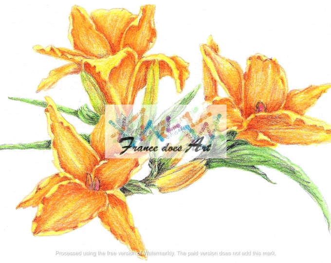 This print captures the essence of a stunning day lily flower in a bold and visually appealing way