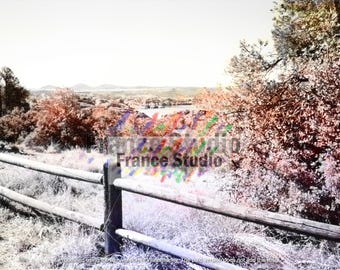 Print of a Photo Named 'Scenic Fence' Unframed