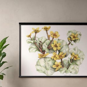 A 'Marsh Marygold' Grouping Print Features a Captivating Design