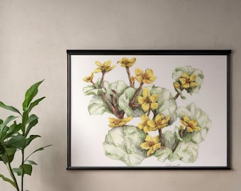 A 'Marsh Marygold' Grouping Print Features a Captivating Design