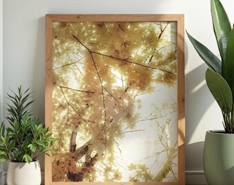 Print of Views Through Trees Looking Up to the Sky in a variety of Colors Unmatted & Unframed