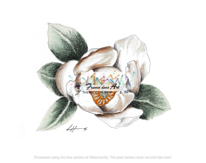 This print captures the beauty and fragrance of the magnolia flower in a visual representation