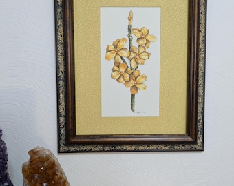 A 'Yellow Jasmine' Flower Print Enhanced in a Matching Border, Frame not Included