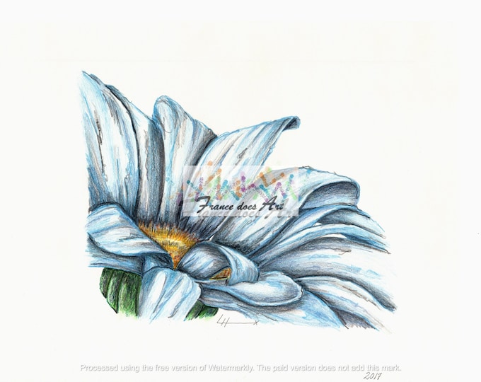The product is a close-up print of a blue chamomile flower