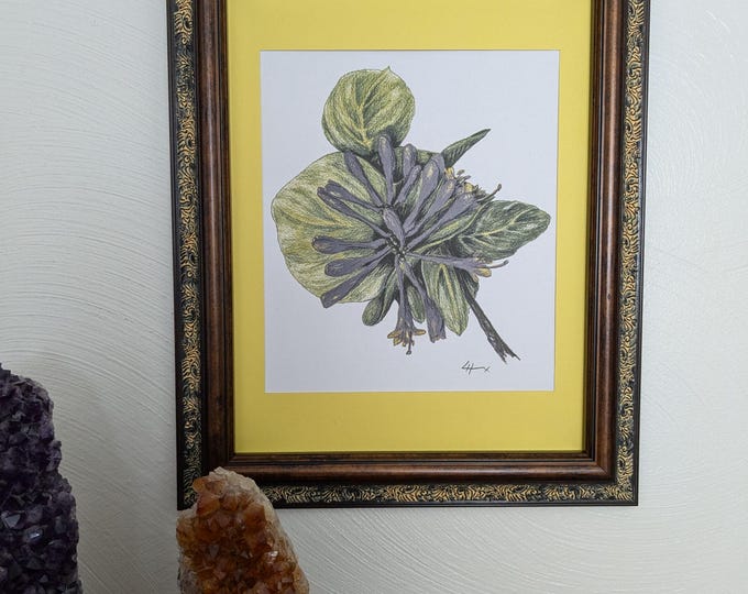 A 'Honey Suckle' Print of a Colored Pencil Plant, Yellow Enhanced, Frame is not Included