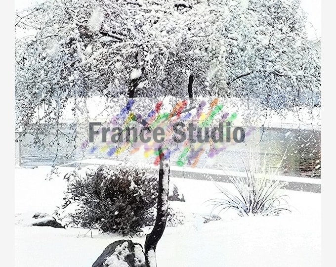 Print of an Original Photograph named 'Ghost Tree'