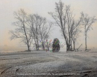 Print of a Photo Named 'Play Misty for Me' Unframed