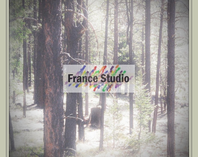 Print of a Forest Scene named 'Waiting for Sunrise' with Border, Unframed 8x8.5