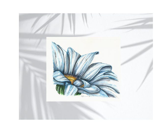 The product is a close-up print of a blue chamomile flower