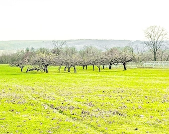 Print of an Original Photograph 'Open View' 8.5"x11"