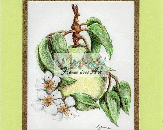 The product is a Print of a Color Pencil Drawing of a Pear