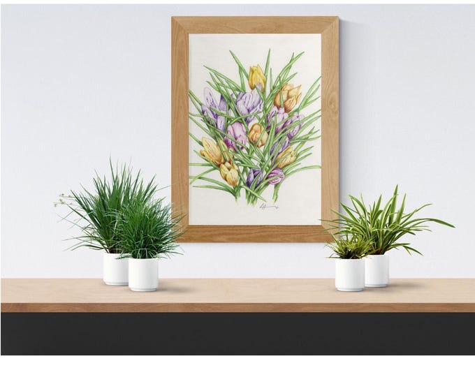 Print of a Color Pencil Drawing Named 'Crocus' Unframed 8 1/2"x11"