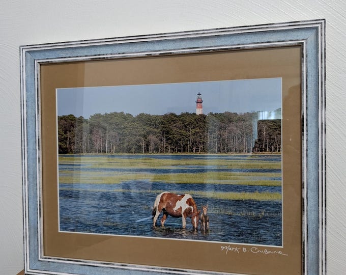Vintage Framed Landscape Signed Photograph by M Coulbourne of Wild Ponies at Assateague Island