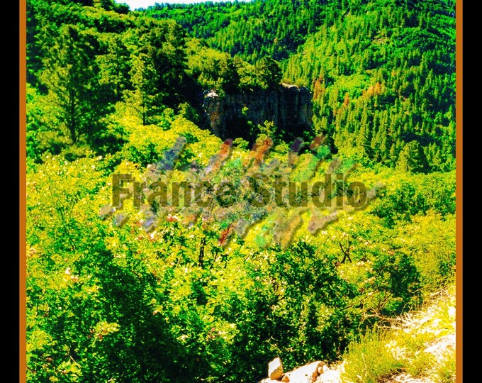 Print of an Original Photograph Named 'Green Land'